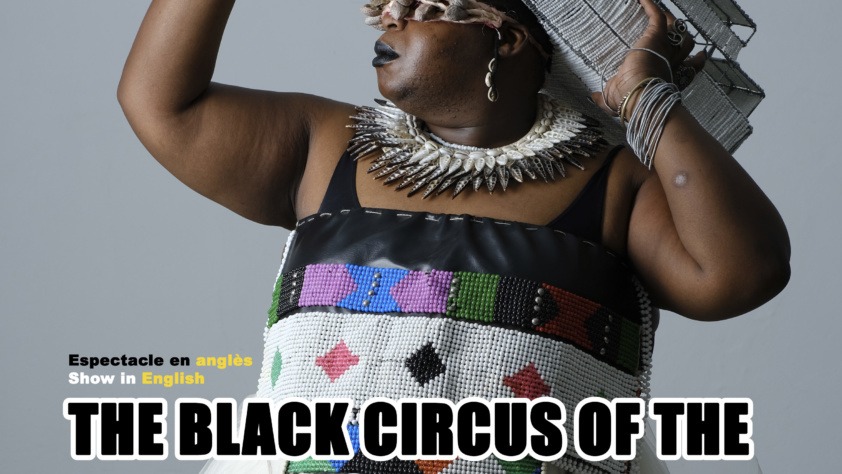 The black circus of the republic of Bantu